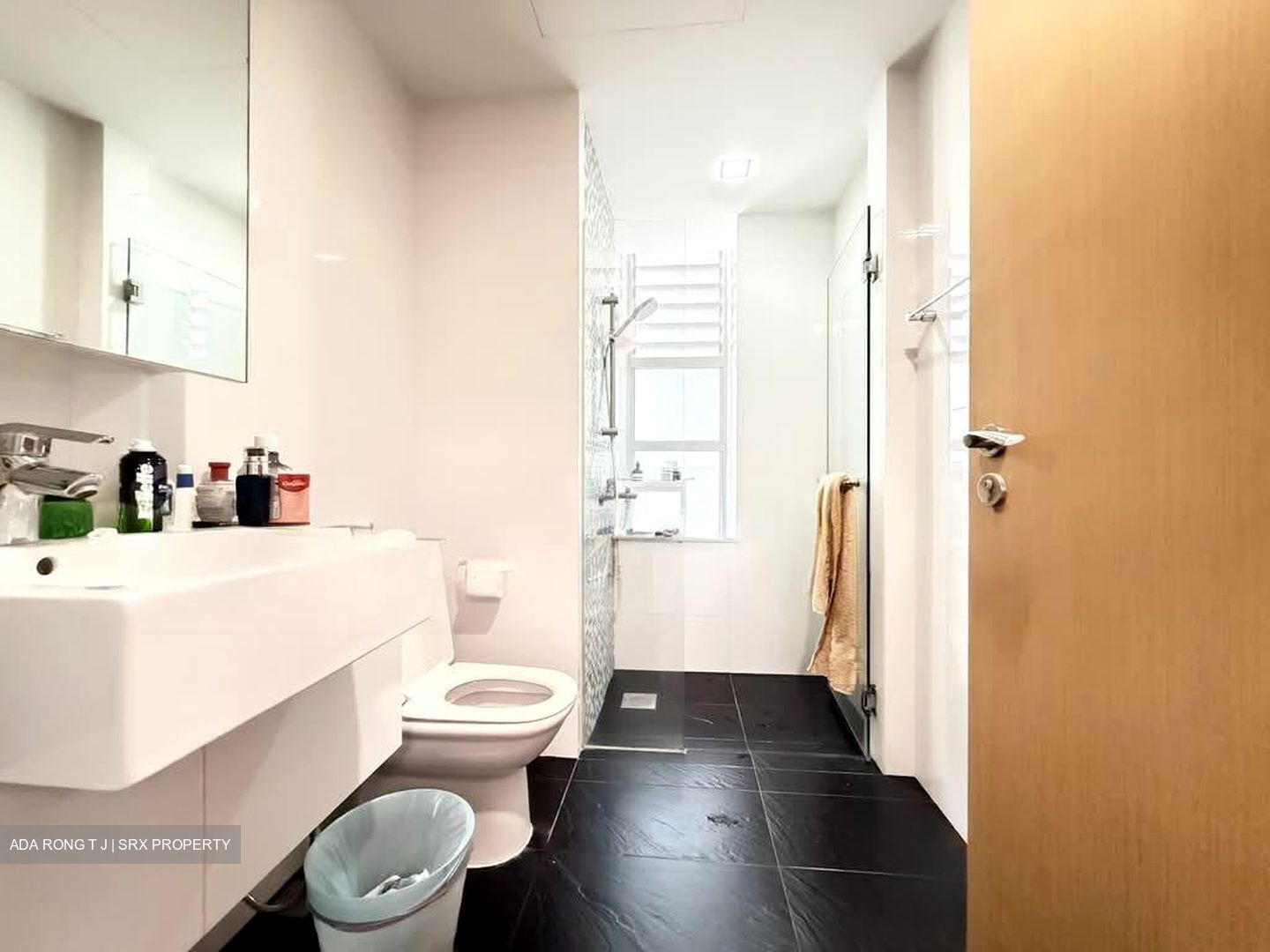 Oasis @ Elias (D18), Condominium #544924881